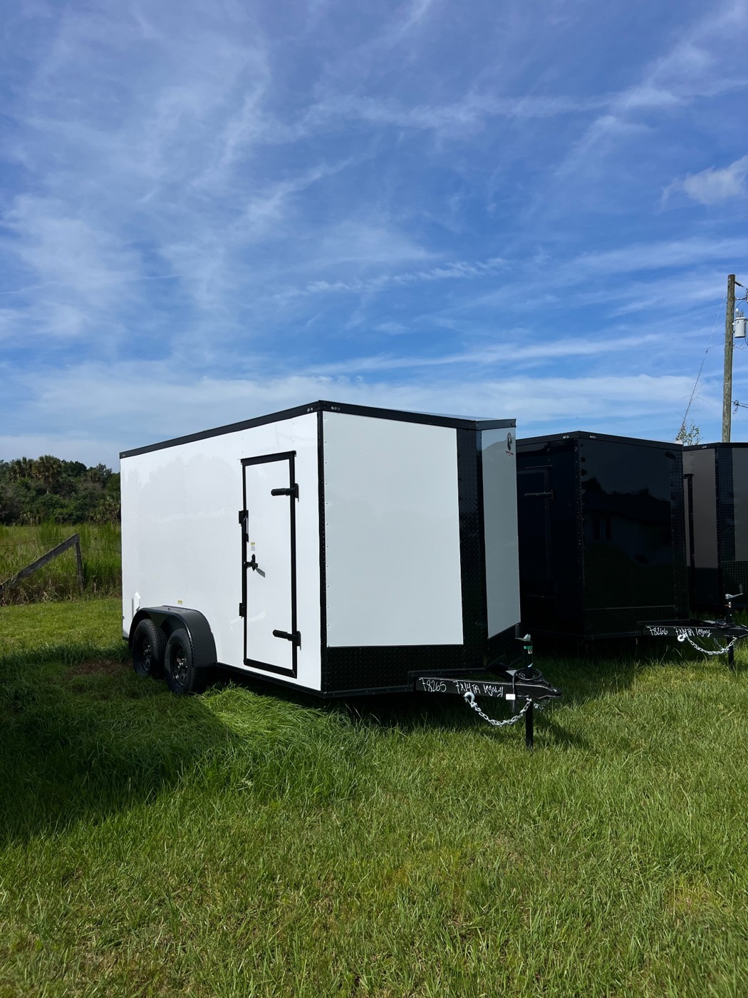 White / blackout enclosed trailer — reference photograph